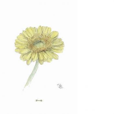 �����٥鲫��Ȭ�š�����ϣţ������ͤˤ����äƤ��ޤ�