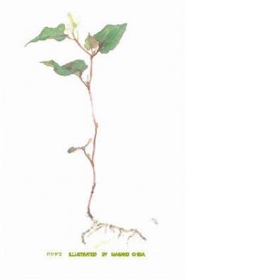 �ɤ�����