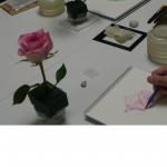 �ܥ��˥��륢���ȶ���