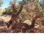 ���桼����������ȥ���ԥ��Ȥμ��ʴ���