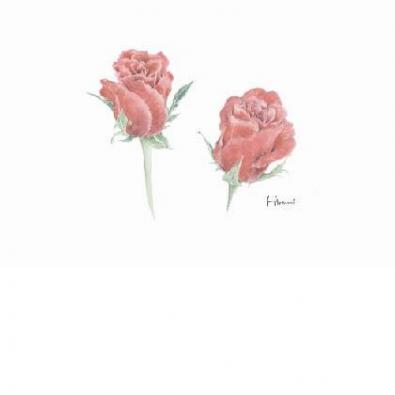 ����������塡��������κ��ʤǤ�